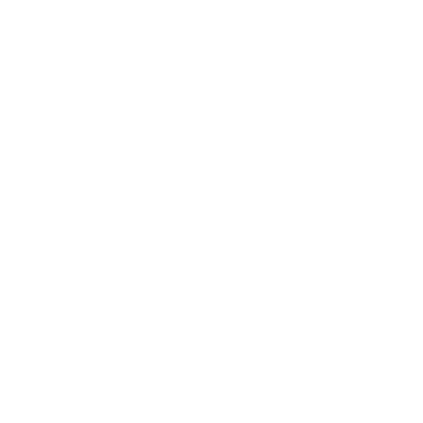 burn ban icon